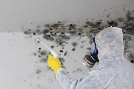 Best Water Damage & Mold Remediation  in Ketchum, ID